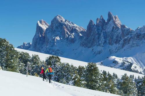 Schneeschuhwandern in Südtirol Schneeschuhwandern in Südtirol